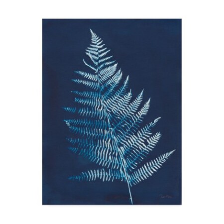 Piper Rhue 'Nature By The Lake - Ferns VI' Canvas Art,14x19